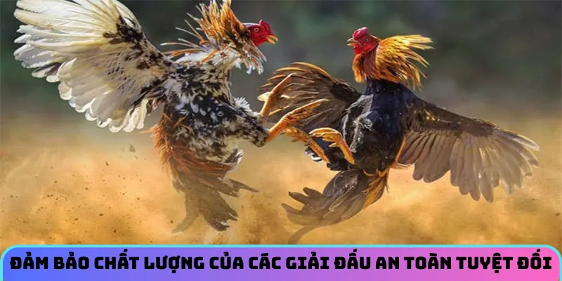 da-ga-lucky88-an-toan