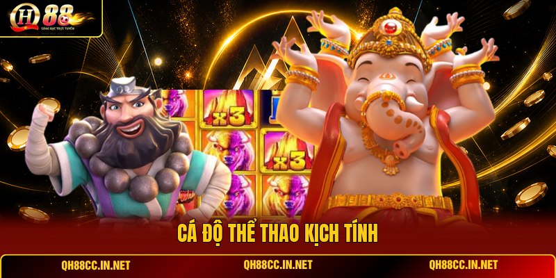 ca-do-the-thao-kich-tinh