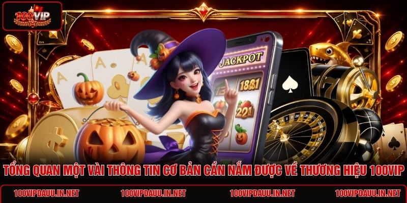 tong-quan-mot-vai-thong-tin-co-ban-can-nam-duoc-ve-thuong-hieu-100vip